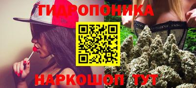 шишки Коммунар