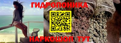 шишки Коммунар