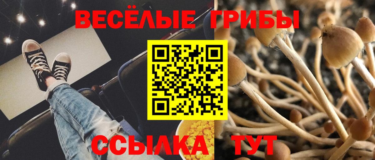 Кохма  Псилоцибиновые грибы прущие грибы  Псилоцибиновые грибы Magic Shrooms  Вход с VPN 